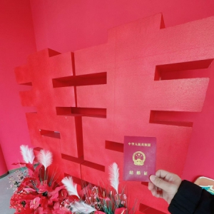 ���������ָ��